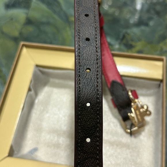 COACH PET DOG COLLAR AND LEASH set brown black red apple New Pretty last set - Picture 4 of 16